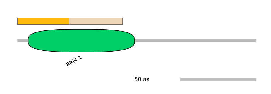 HsaINT0138488-EXC