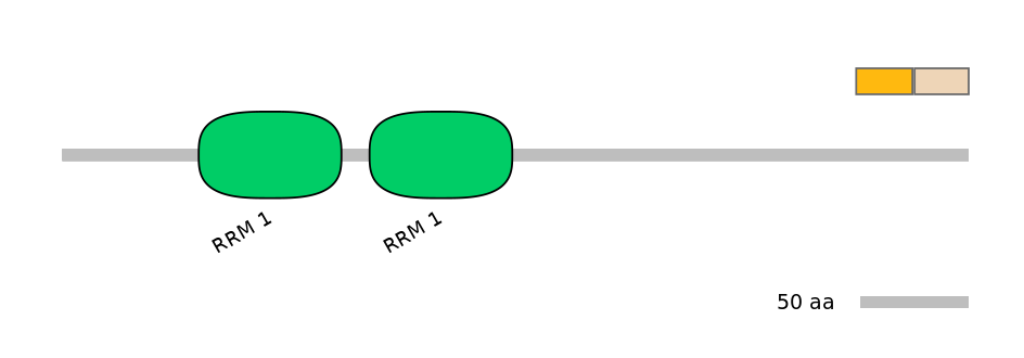 HsaINT0138656-EXC