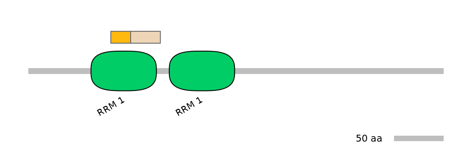 HsaINT0138659-EXC