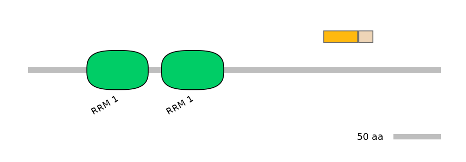 HsaINT0138679-EXC