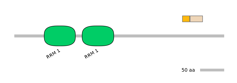 HsaINT0138680-EXC