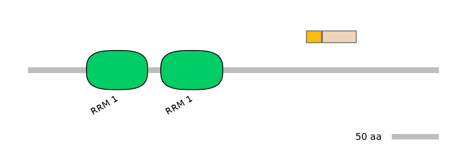 HsaINT0138682-EXC