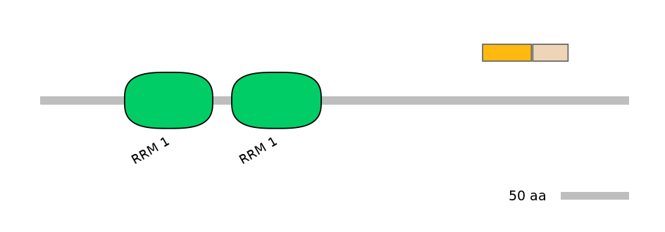 HsaINT0138683-EXC