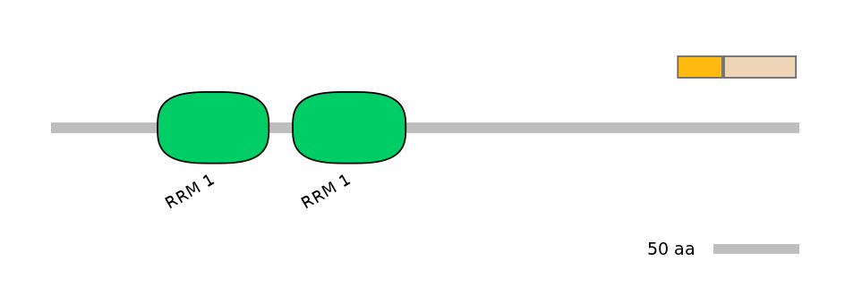 HsaINT0138684-EXC