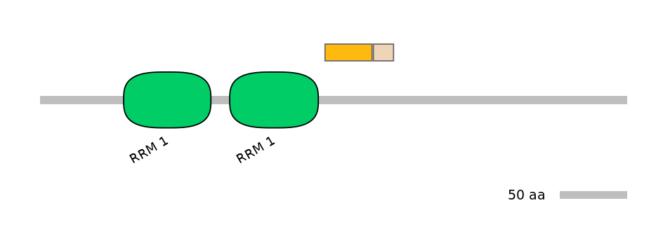 HsaINT0138689-EXC