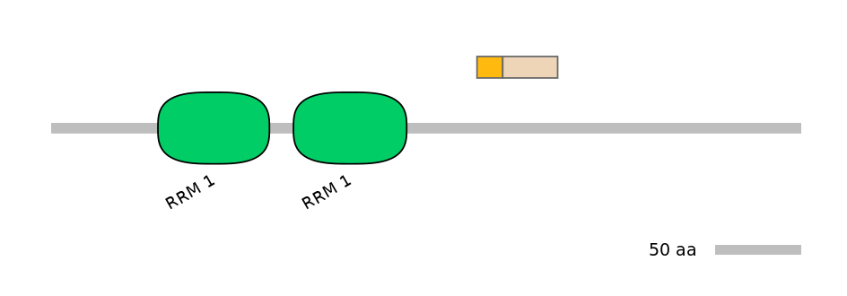 HsaINT0138690-EXC
