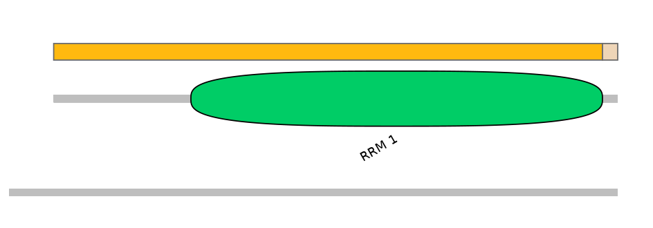 HsaINT0138699-EXC