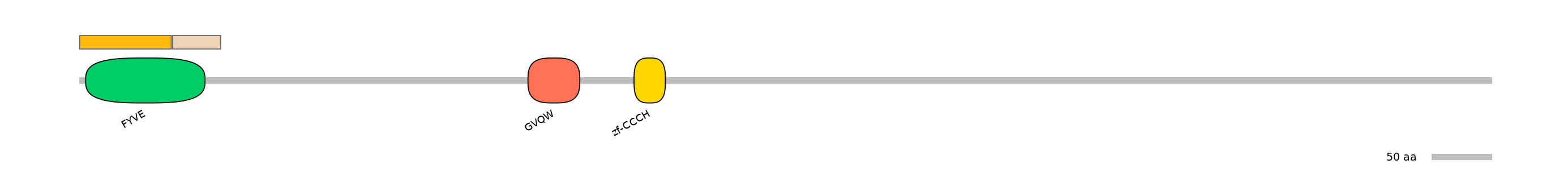 HsaINT0138809-EXC