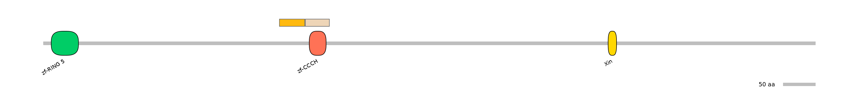 HsaINT0138843-EXC