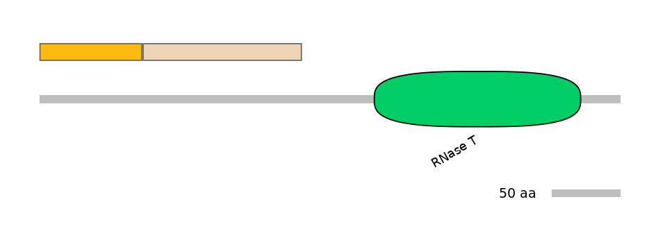 HsaINT0139551-EXC