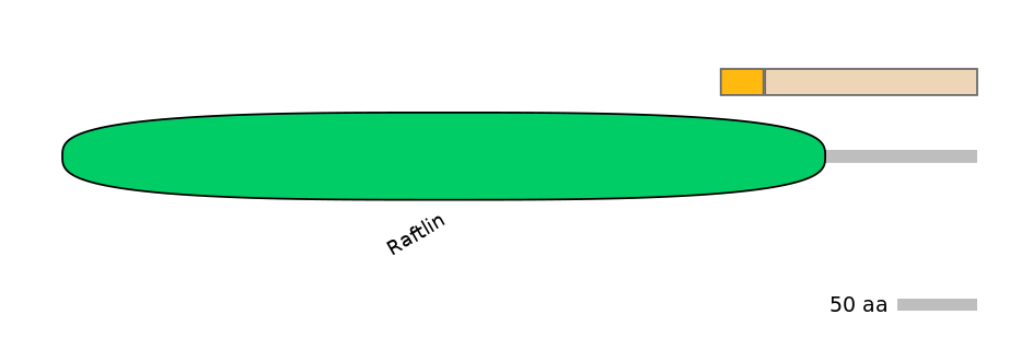 HsaINT0139677-EXC