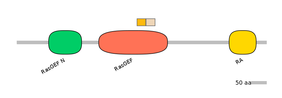 HsaINT0139864-EXC