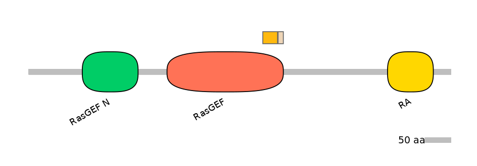HsaINT0139866-EXC