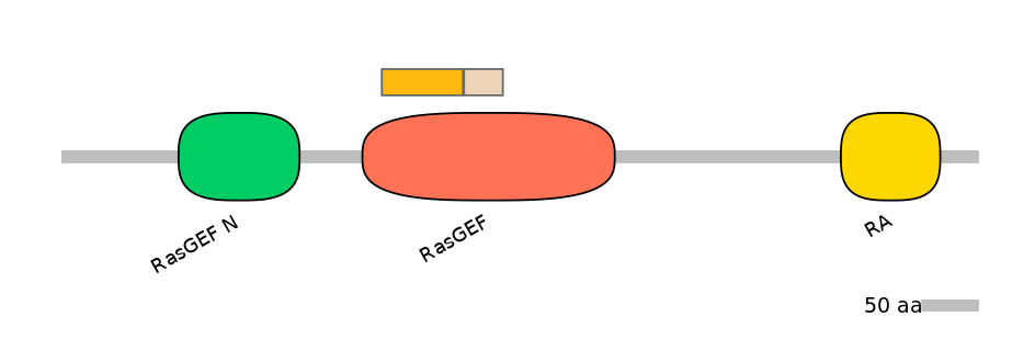 HsaINT0139879-EXC