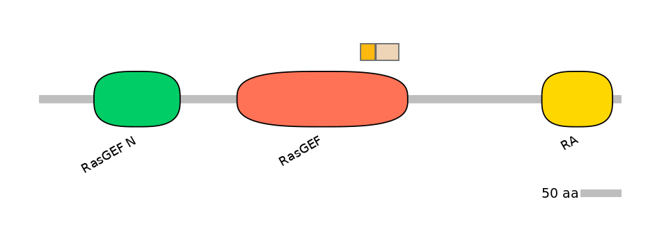 HsaINT0139882-EXC