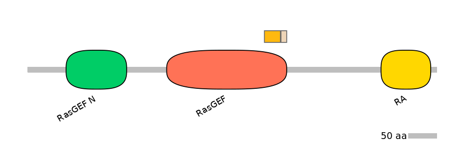HsaINT0139883-EXC
