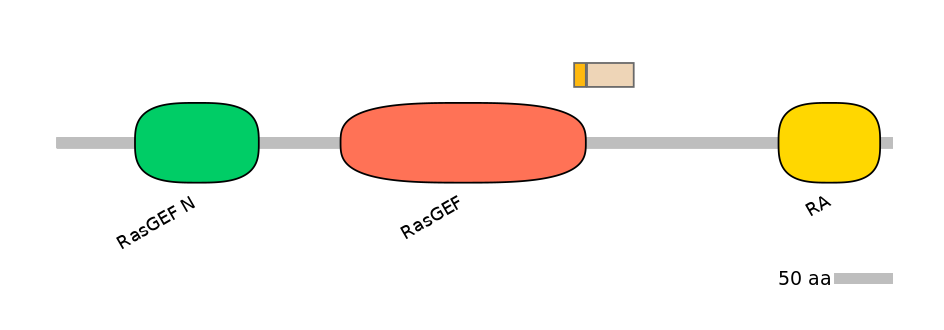HsaINT0139884-EXC