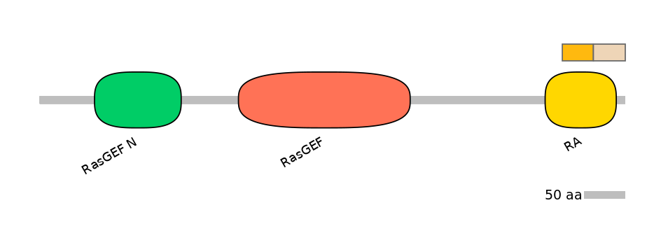 HsaINT0139889-EXC