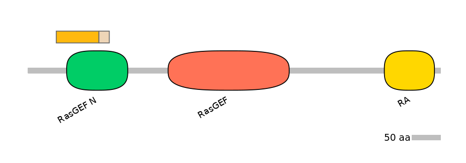 HsaINT0139891-EXC