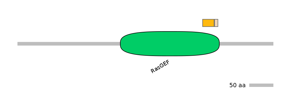 HsaINT0139904-EXC