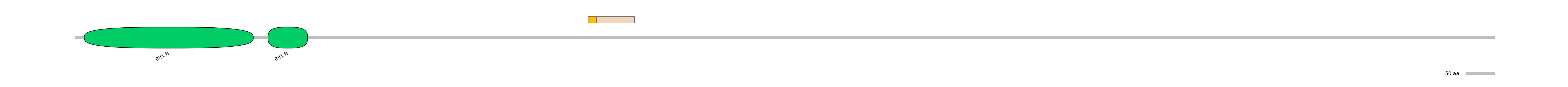 HsaINT0140694-EXC