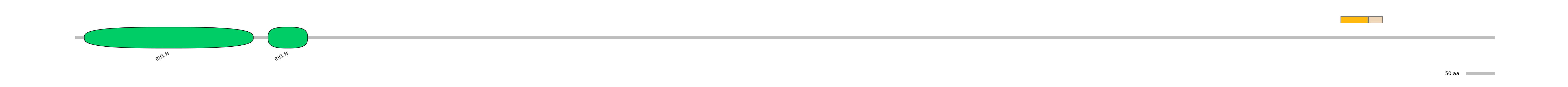 HsaINT0140713-EXC