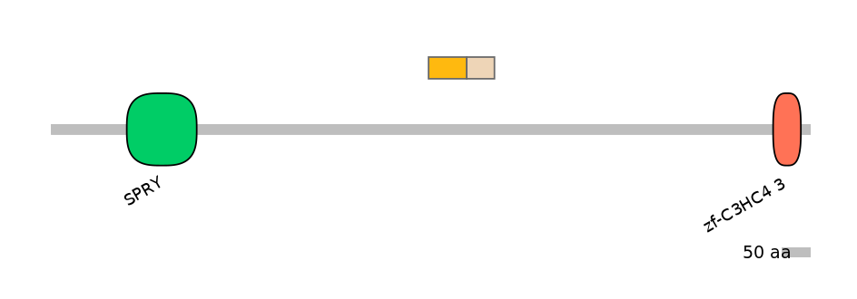 HsaINT0141243-EXC