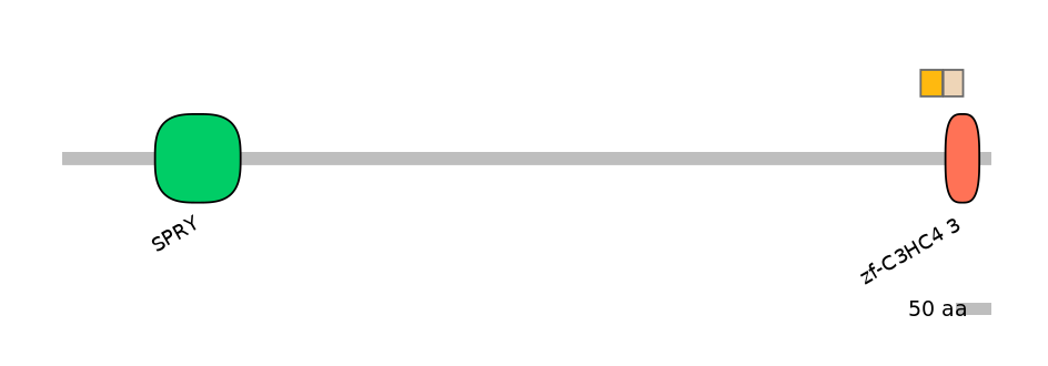 HsaINT0141258-EXC