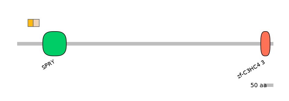 HsaINT0141260-EXC