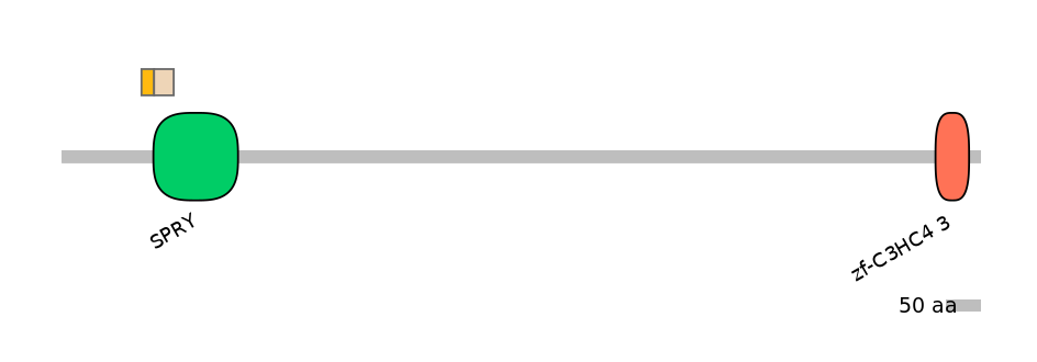HsaINT0141262-EXC