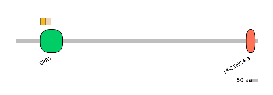 HsaINT0141263-EXC