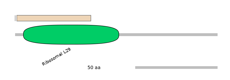 HsaINT0142686-EXC