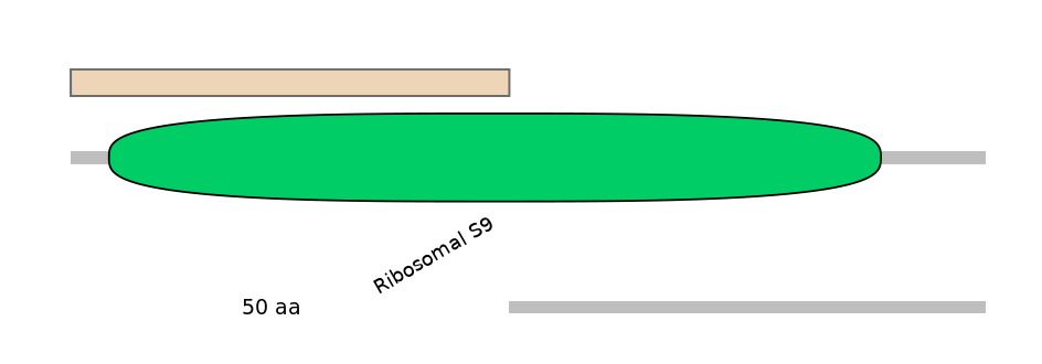 HsaINT0142686-INC