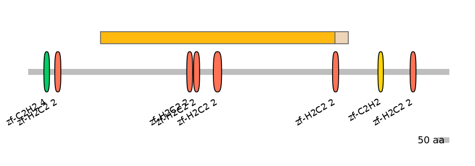 HsaINT0143325-EXC