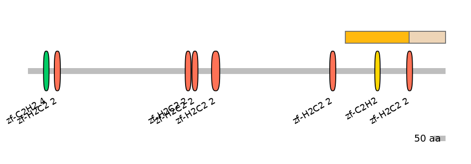 HsaINT0143330-EXC