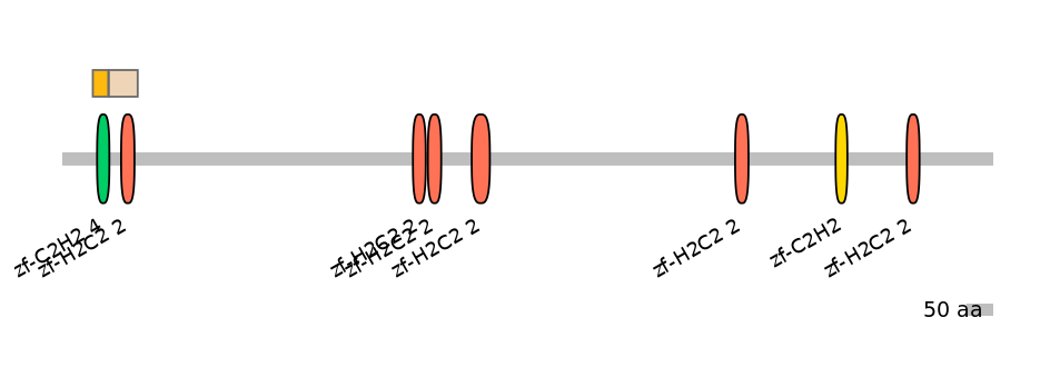 HsaINT0143334-EXC