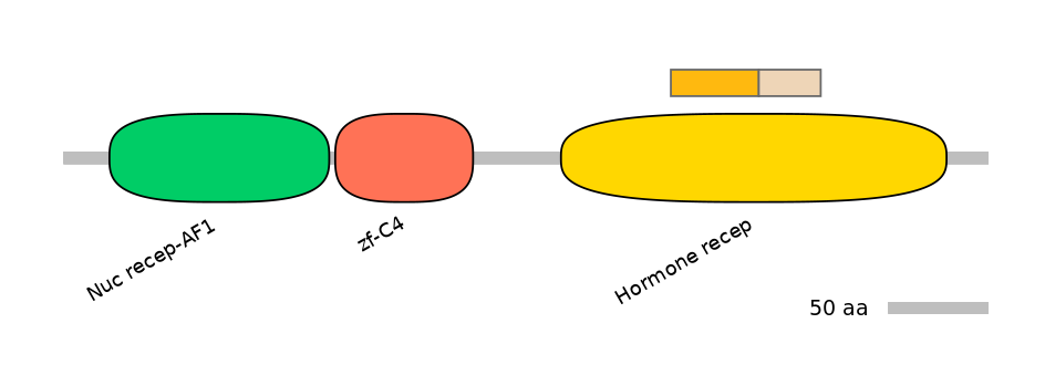 HsaINT0144194-EXC