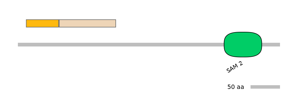 HsaINT0144767-EXC