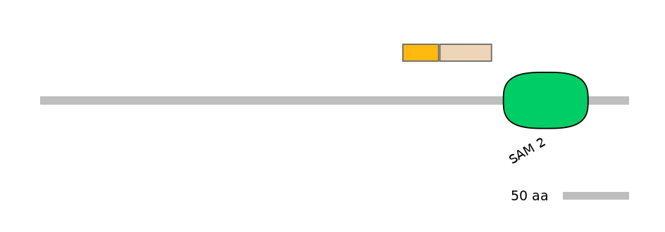 HsaINT0144772-EXC