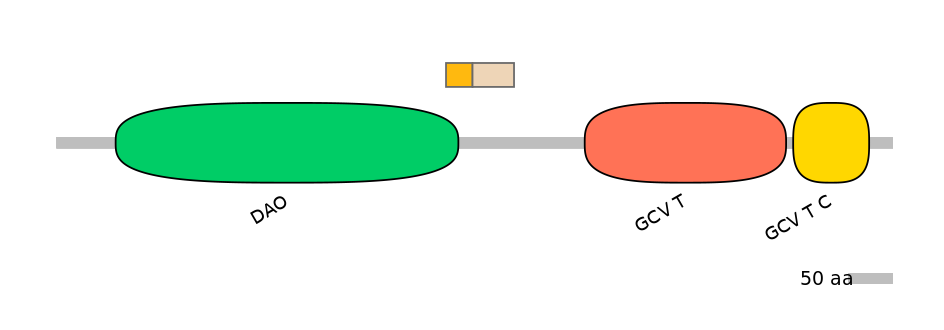 HsaINT0144937-EXC