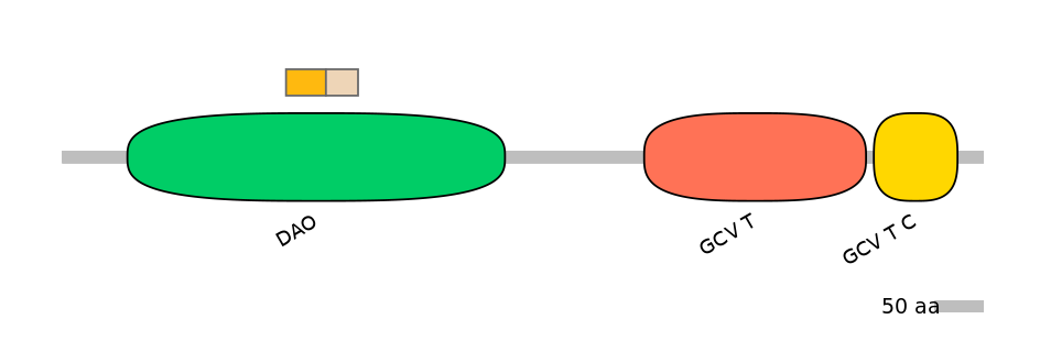 HsaINT0144951-EXC