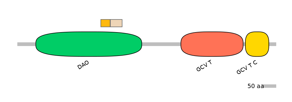 HsaINT0144953-EXC
