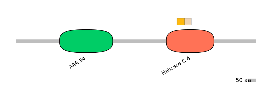 HsaINT0145224-EXC