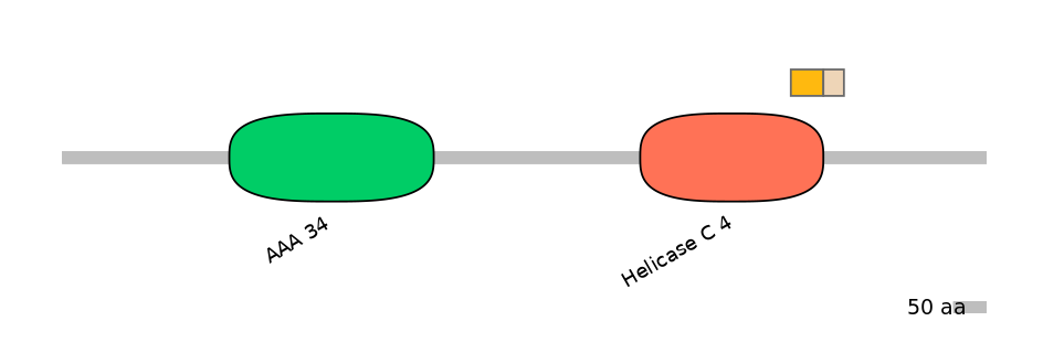 HsaINT0145229-EXC