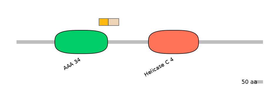 HsaINT0145247-EXC