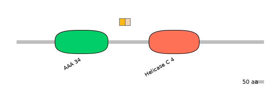 HsaINT0145249-EXC
