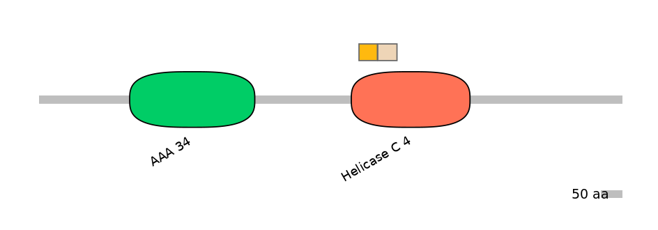 HsaINT0145254-EXC