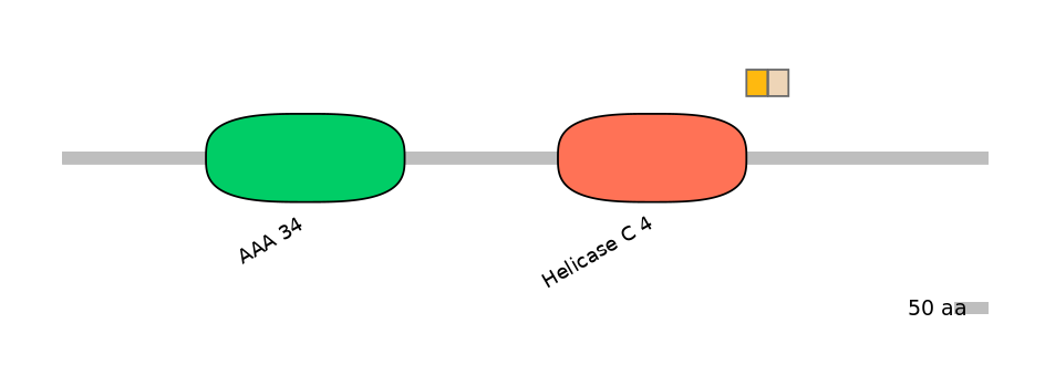 HsaINT0145261-EXC