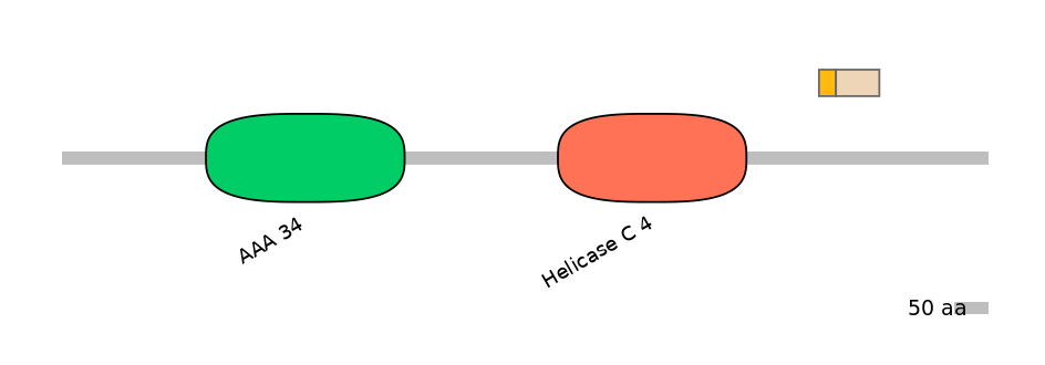 HsaINT0145265-EXC