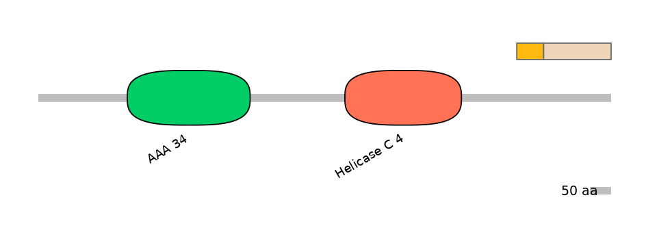 HsaINT0145266-EXC